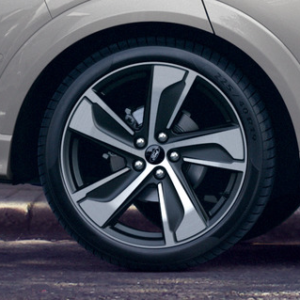 Platišče iz lahke zlitine 19" s 5 kraki, črn